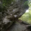 Boulderspot - Birkenblock