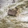 Boulderspot - Dumpfbackenblick