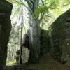Boulderspot - Trahütten Mammutfelsen; (c) Christian Pirkl