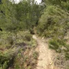 Kleines Steinmännchen bzw. GPS Koordinaten weisen den Weg in den kleine Canyon