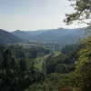 Boulderspot - Rapunzelwandl