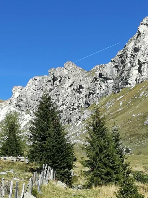 Alpinklettergarten Thörlwände - Zunderwand